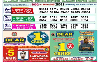 Dear lottery 1pm result 3.5.25