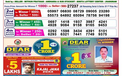 Dear lottery 8pm result 13.5.25