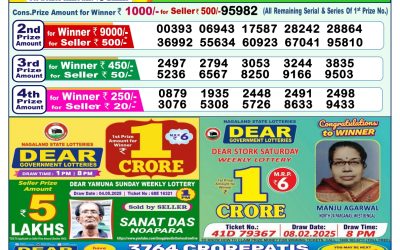 Dear lottery 1pm result 17.5.25