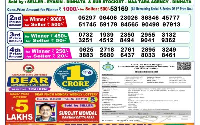 Dear lottery 1pm result 19.5.25