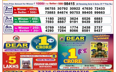 Dear lottery 8pm result 20.5.25