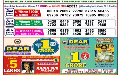 Dear lottery 8pm result 21.05.25