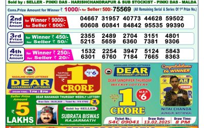 Dear lottery 1pm result 22.05.25