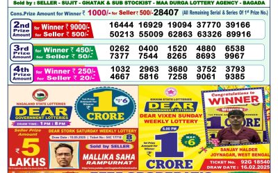 Dear lottery 1pm result 24.05.25