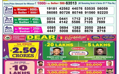 Dear lottery 1pm result 25.05.25