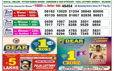 Dear lottery 6pm result 25.05.25