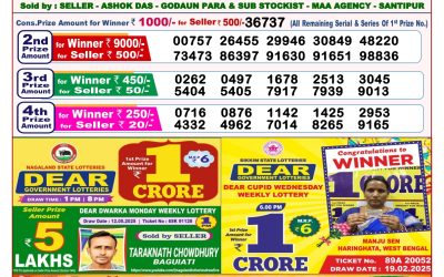 Dear lottery 8pm result 25.05.25
