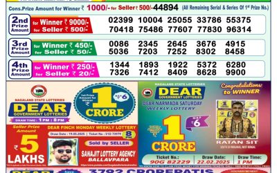 Dear lottery 1pm result 01.06.25
