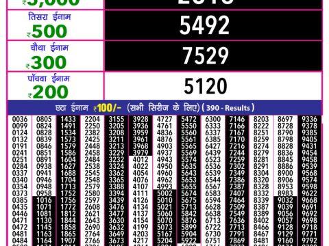 Everest Result Today Dear Lottery Chart