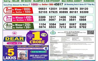Dear lottery 1pm result 02.06.25
