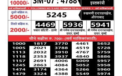 Maharashtra sahyadri lottery result 03.06.25