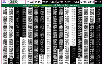 Rajshree 50 daily lottery 7.30pm result 04.06.25