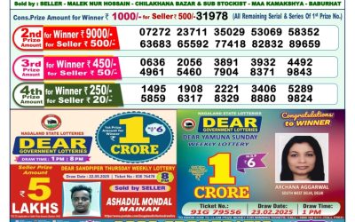 Dear lottery 1pm result 05.06.25