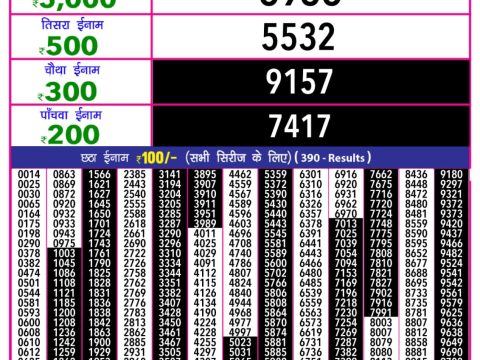 Everest Result Today Dear Lottery Chart