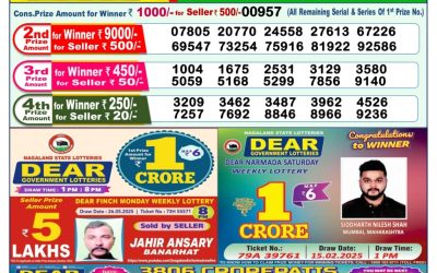 Dear lottery 1pm result 08.06.25