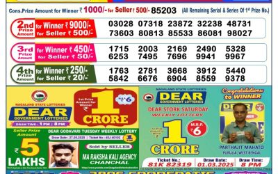 Dear lottery 6pm result 08.06.25