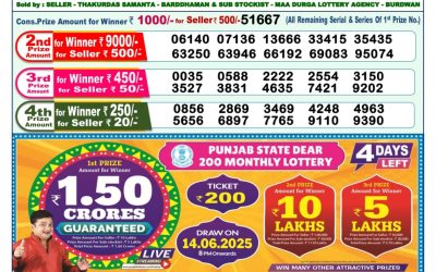 Dear lottery 1pm result 10.06.25