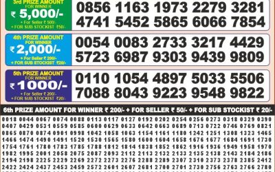 Punjab state dear 100 monthly lottery result 10.06.25