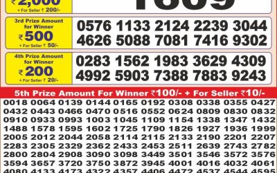 Punjab state dear 10 lottery 6pm result 13.06.25