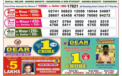 Dear lottery 8pm result 13.06.25
