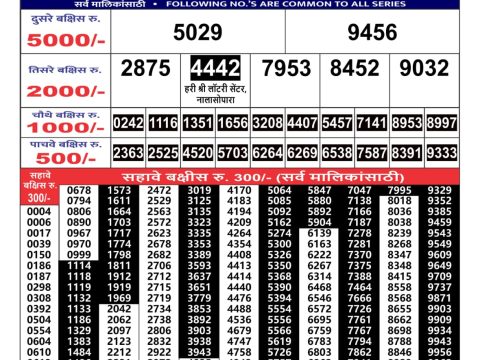 Everest Result Today Dear Lottery Chart