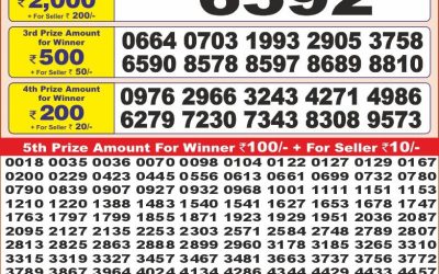 Punjab state dear10 lottery result 14.06.25