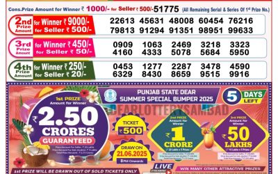 Dear lottery 8pm result 16.06.25