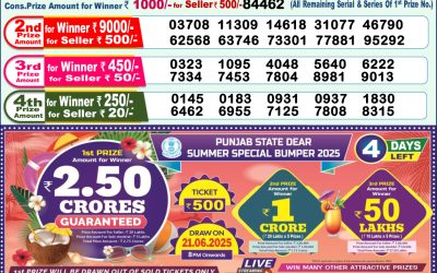 Dear lottery 1pm result 17.06.25