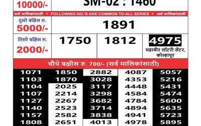 Maharashtra sahyadri lottery result 17.06.25