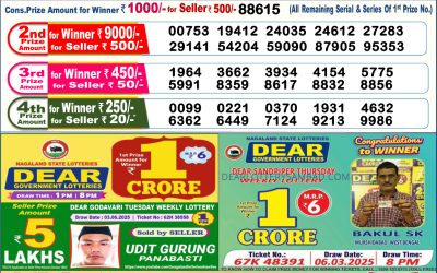 Dear lottery 6pm result 17.06.25