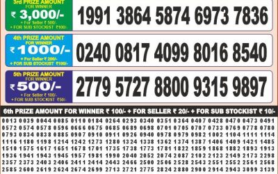 Punjab 50 Monthly Lottery Result 17.6.25
