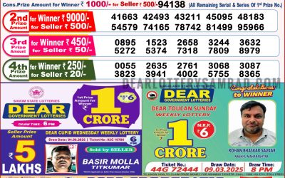 Dear lottery 8pm result 17.06.25