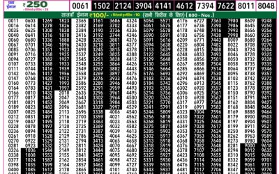 Rajshree 50 daily lottery 7.30pm result 18.06.25