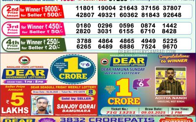 Dear lottery 1pm result 19.06.25