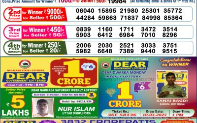Dear lottery 6pm result 19.06.25