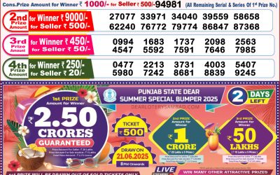 Dear lottery 8pm result 19.06.25