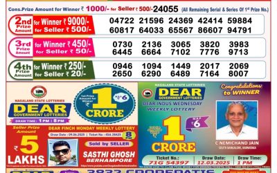 Dear lottery 8pm result 20.06.25
