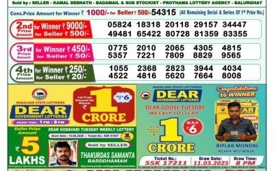 Dear lottery 1pm result 21.06.25