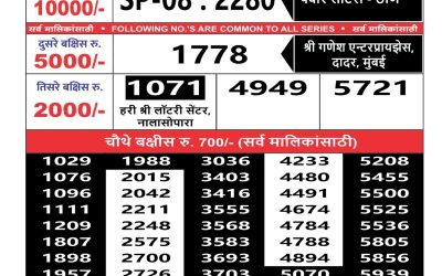 Maharashtra sahyadri lottery result 21.06.25