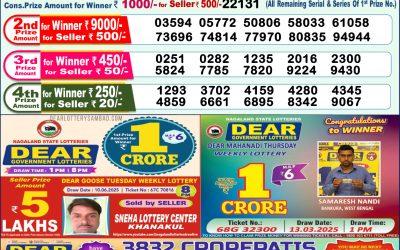 Dear lottery 1pm result 22.06.25