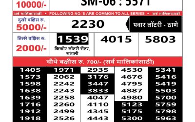 Maharashtra sahyadri lottery result 24.06.25