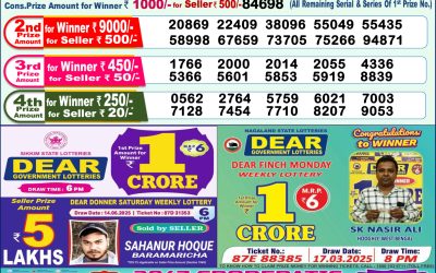 Dear lottery 1pm result 25.06.25