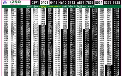 Rajshree 50 daily lottery 7.30pm result 25.06.25