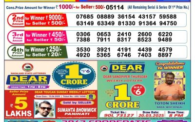 Dear lottery 6pm result 26.06.25