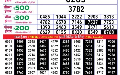 Rajshree daily lottery 1pm result 28.06.25