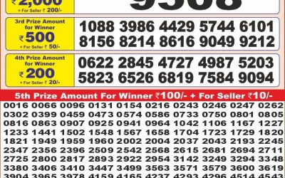 Punjab state dear10 lottery result 28.06.25