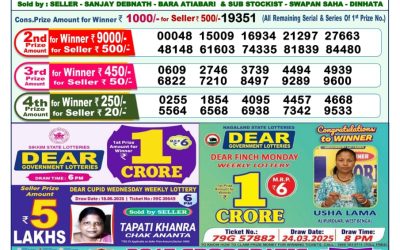 Dear lottery 1pm result 29.06.25