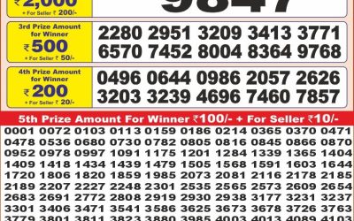 Punjab state dear10 lottery result 29.06.25