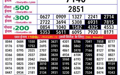 Rajshree daily lottery 8pm result 29.06.25