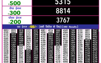 Rajshree 10 evening lottery 5.40pm result 30.06.25